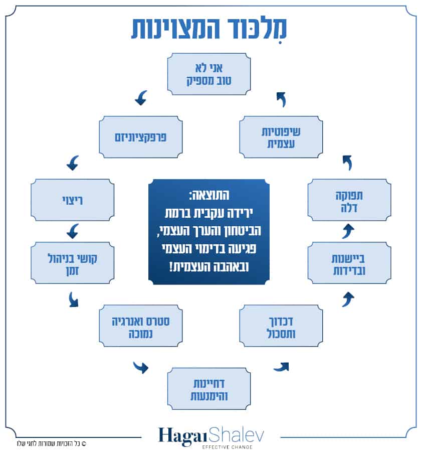 תרשים מלכוד המצוינות. ספרו השני של חגי שלו, מאמן עסקי